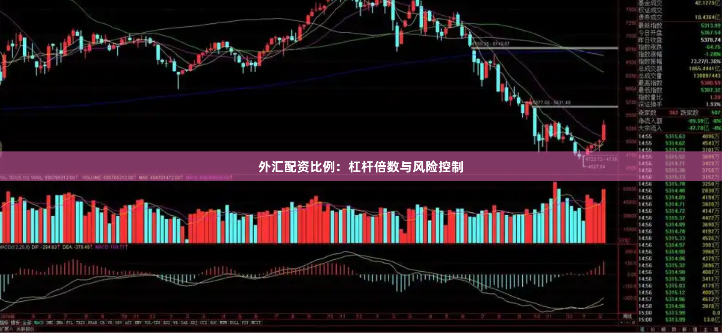外汇配资比例：杠杆倍数与风险控制